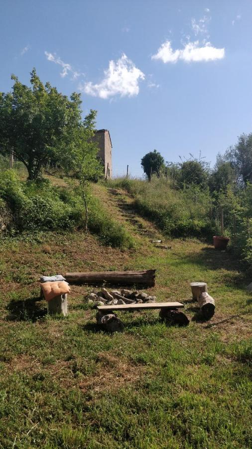Podere Cerrete - Eco Farmhouse Castel del Piano  Εξωτερικό φωτογραφία